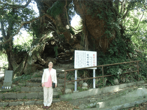 愛媛県大三島の生樹の門（いききのもん）